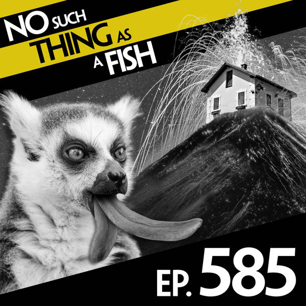 No Such Thing As The Paula Radcliffe Of F1 Racing