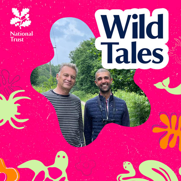 Chris Packham | Spring, Birding and Pied Flycatchers