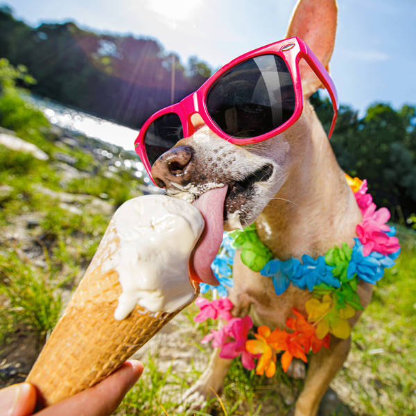 150: Labour, Heatwaves and Glasto