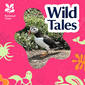 Clowns of the Sea | The Colourful Lives of Puffins