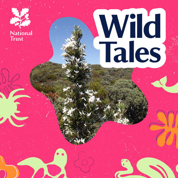 Plant Hunters | A Botanical Quest Down Under