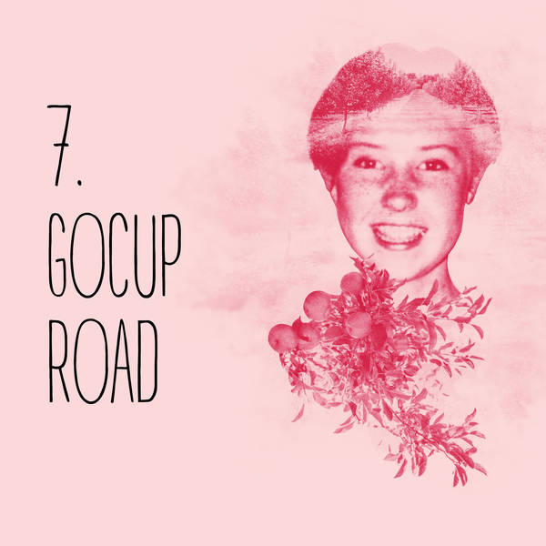 7: Episode 7: Gocup Road