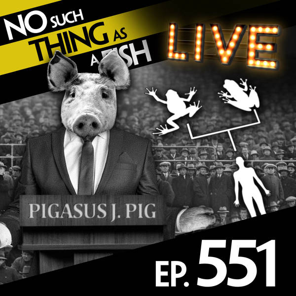 No Such Thing As President Iceberg