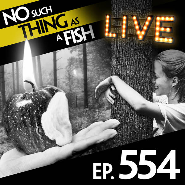 554: No Such Thing As A Dragonfish At The Opticians