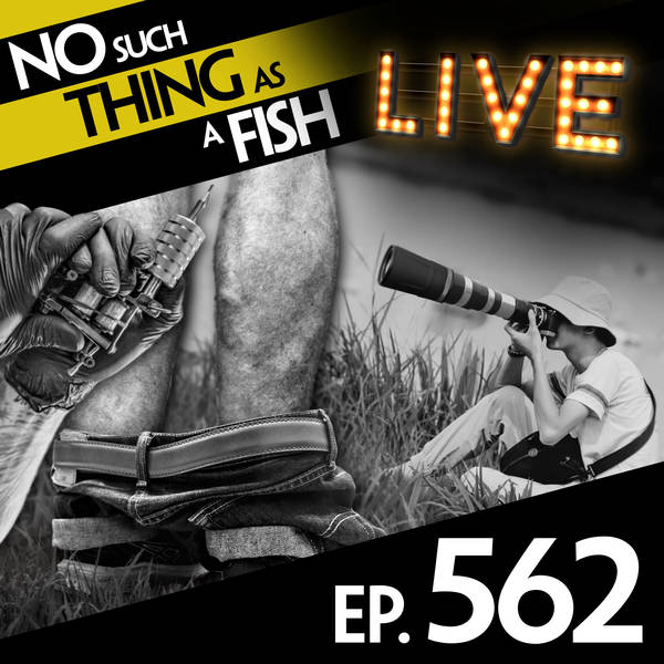 562: No Such Thing As The Jam Of Entertainment