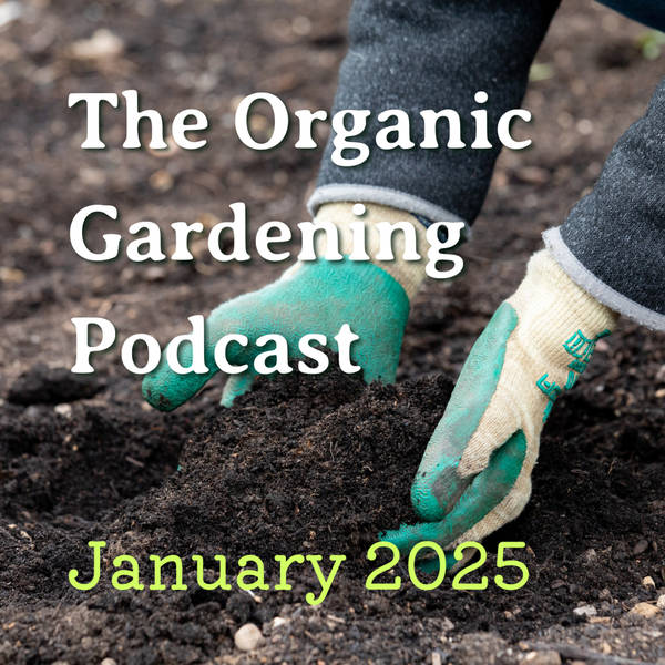 S5 Ep1: January - From suspicious strawberry piles to soil health, we look back on the postbag in 2024!