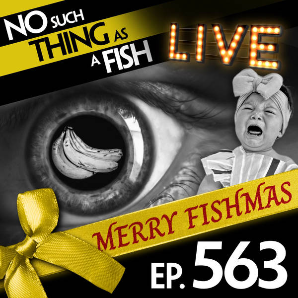 563: No Such Thing As Bananas In The Vatican
