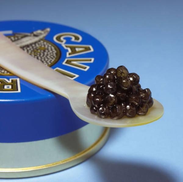Table Talk: 'Caviar Queen', Laura King