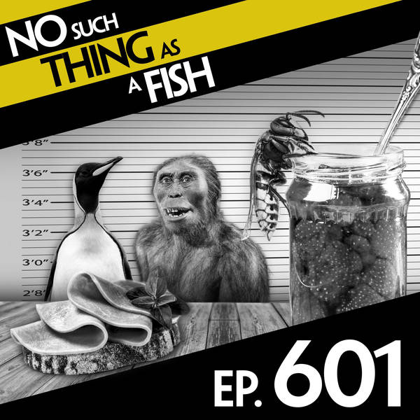 No Such Thing As Sausage By Chanel