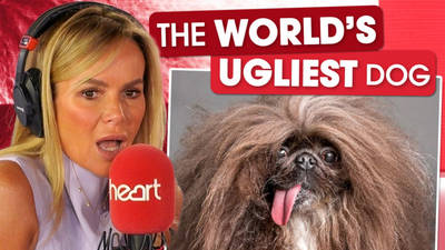 Amanda Holden reacts to world's ugliest dog! 🤣 image
