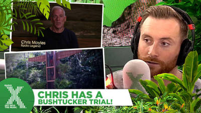 Chris Moyles has a Bushtucker Trial - how will he get on? image