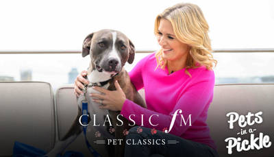 Charlotte Hawkins introduces ‘Pet Classics’ with Frank the rescue dog image