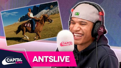 AntsLive Learned To Ride A Horse For 'Number One Candidate' 🐎 image
