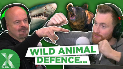 Toby and Dom play the "surviving an animal attack" quiz image
