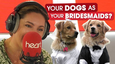 JK and Kelly Brook discuss replacing bridesmaids with dogs!  image