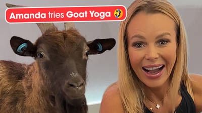 Amanda Holden tries Goat Yoga!  image