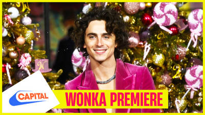 Timothée Chalamet at the 'Wonka' premiere was a treat for the eyes 😳  image