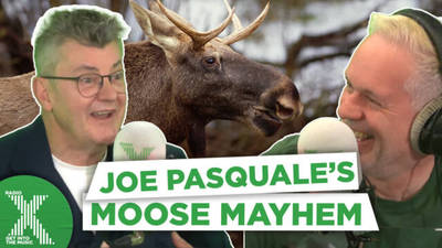 Joe Pasquale's moose mayhem! image