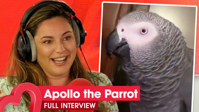 JK and Kelly Brook meet TikTok sensation, Apollo the parrot 