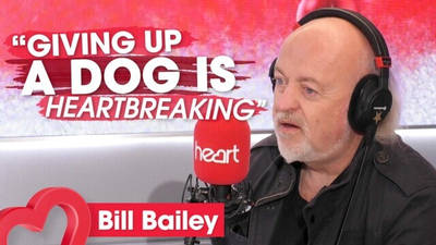 Heart: Bill Bailey opens up about his work with dog charity KCCT this Christmas image