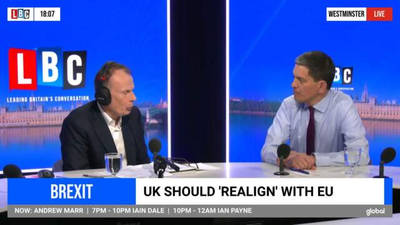 David Miliband says The UK has 'shredded' its reputation through Brexit. image