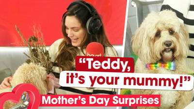 A Mother's Day Full of Doggy Surprises image