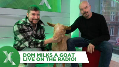 Dom milked a goat live on the radio image