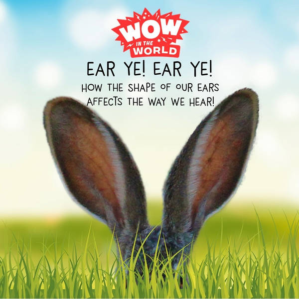 EAR YE! EAR YE! How The Shape Of Our Ears Affects The Way We Hear!