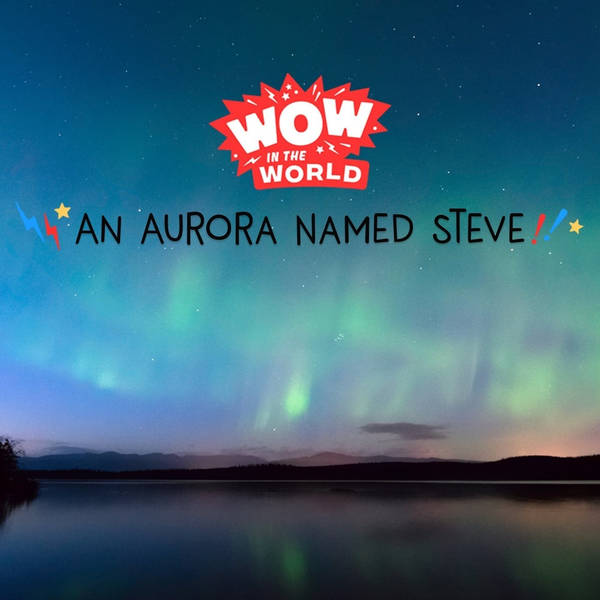 An Aurora Named Steve