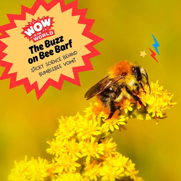 The Buzz on Bee Barf! Sticky Science Behind Bumblebee Vomit