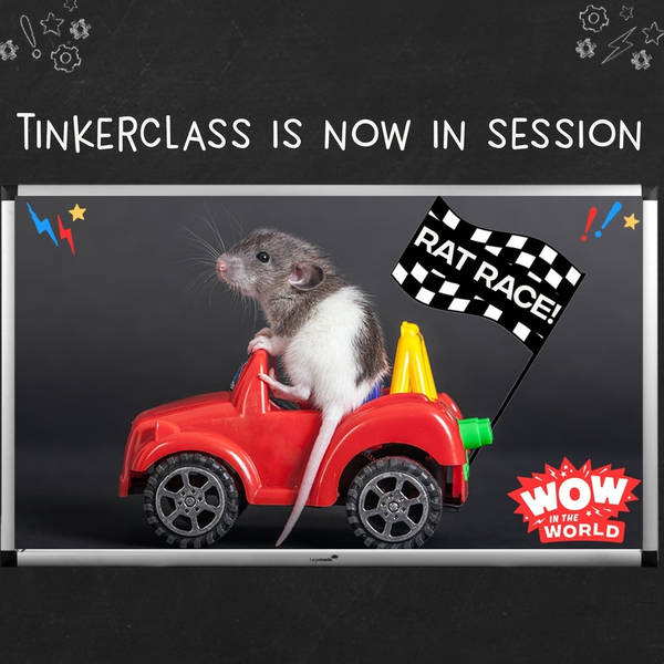Tinkerclass (Week 2 Day 4): Improve & Retest (encore)