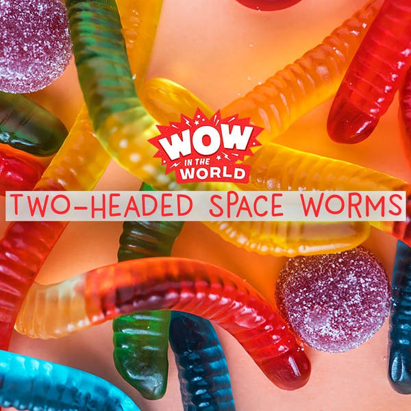 Two-Headed Space Worms (Encore - 1/21/19)