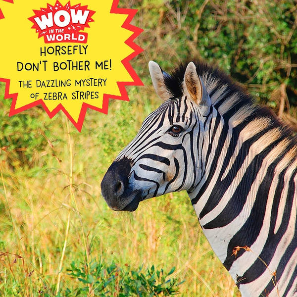 Horsefly Don't Bother Me! - The Dazzling Mystery Of Zebra Stripes