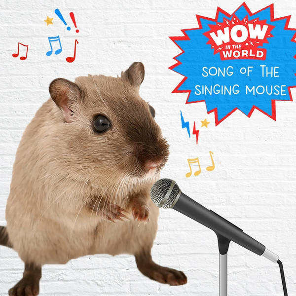 Song Of The Singing Mouse (encore)