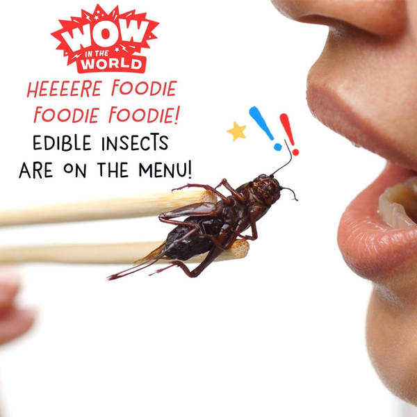 Heeeere Foodie Foodie Foodie! - Edible Insects Are On The Menu! (Encore - 9/2/19)