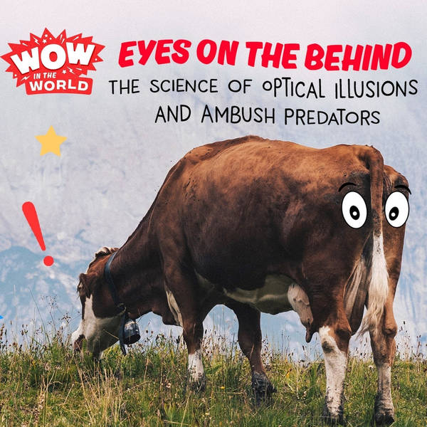 Eyes On The Behind: The Science of Optical Illusions and Ambush Predators