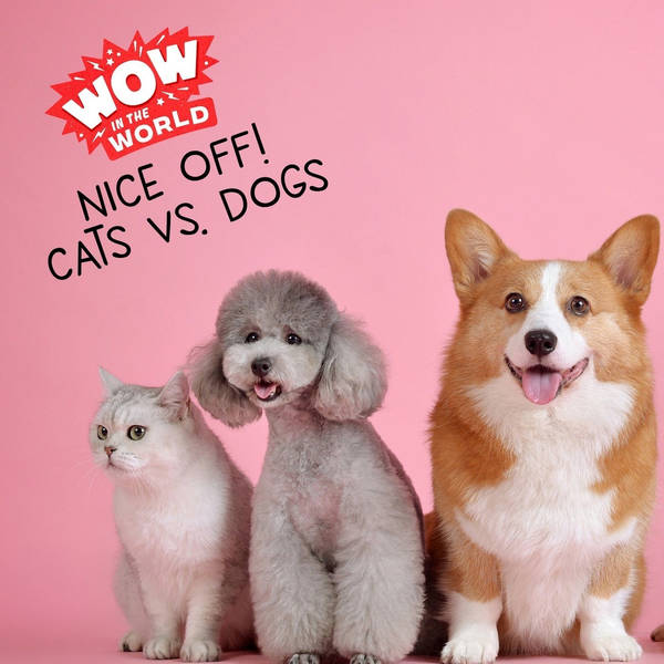 Nice-Off! Cats Vs Dogs (encore)