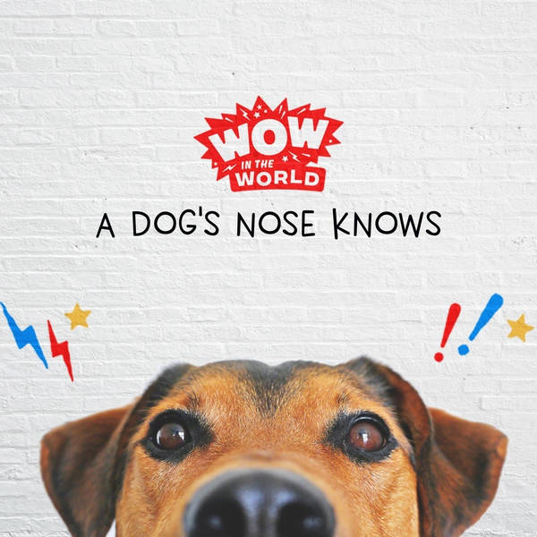 A Dog's Nose Always Knows