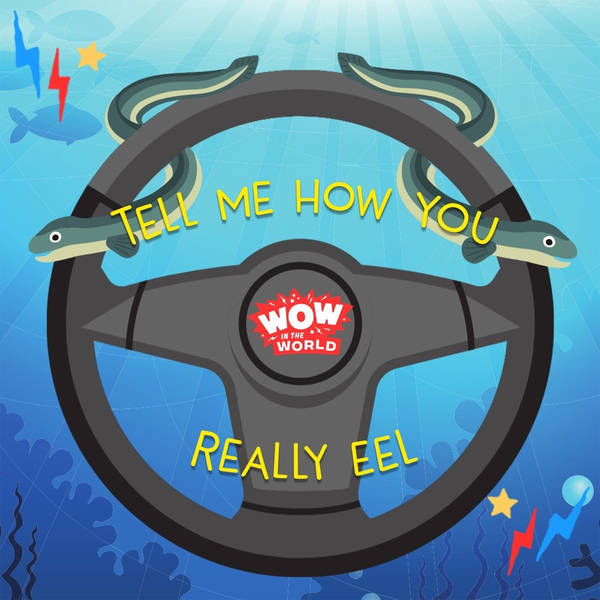 Tell Me How You Really Eel