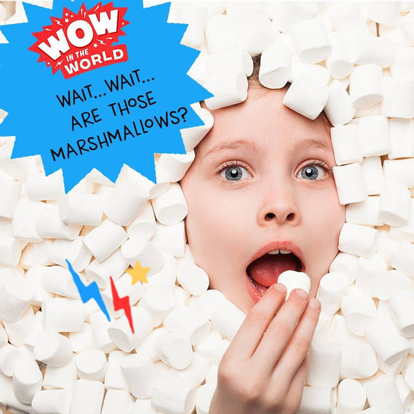 WAIT...WAIT...ARE THOSE MARSHMALLOWS? Why Kids Are Better At Waiting Than Adults (Encore - 7/29/19)
