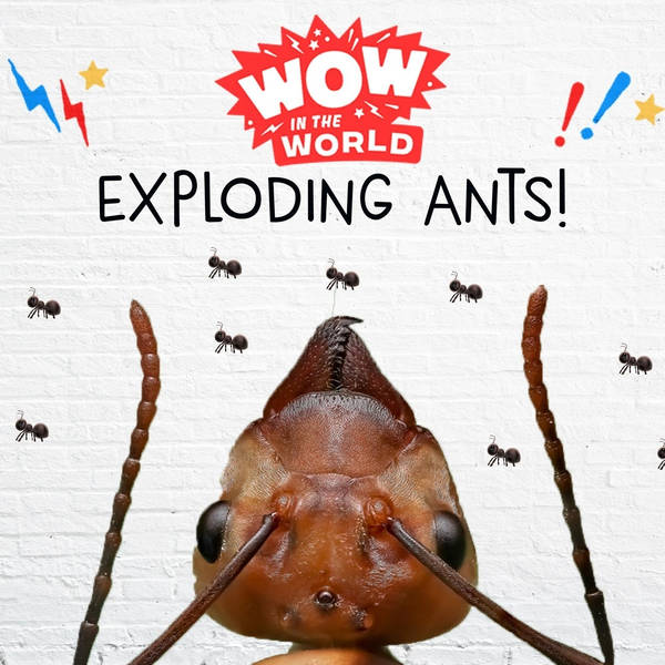 Exploding Ants! (Encore - 1/7/19)