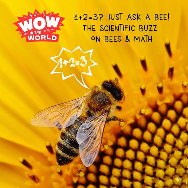 1+2=3? Just Ask A BEE! - The Scientific Buzz On Bees & Math (encore)