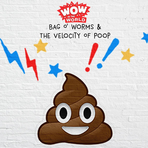 Bag O' Worms & The Velocity Of Poop (Encore - 9/25/17)