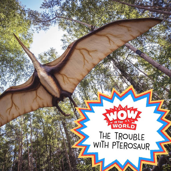 The Trouble With Pterosaurs