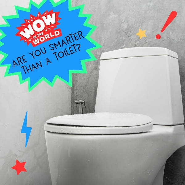 Are You Smarter Than A Toilet? (encore)