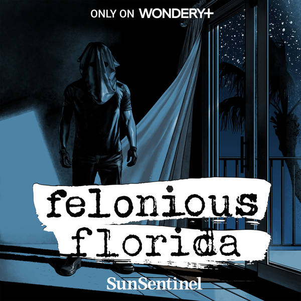 Introducing Felonious Florida: In the Darkness