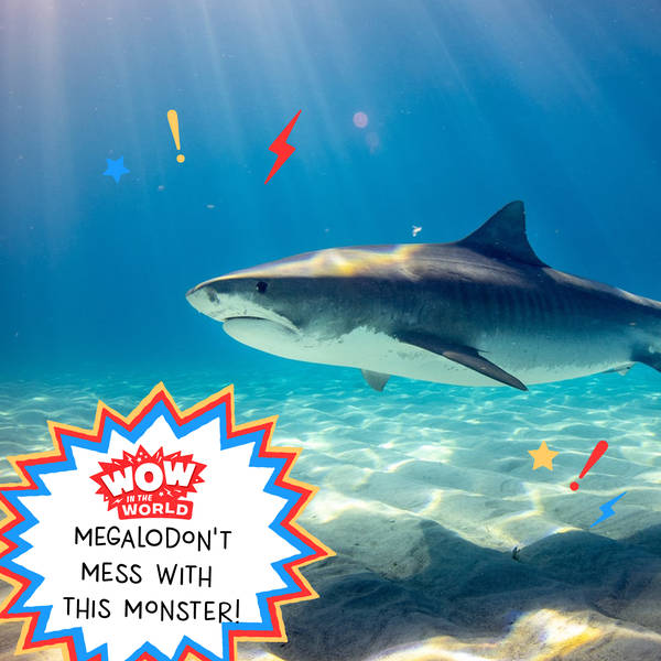 Megaladon't Mess With This Monster (Encore - 1/10/22)