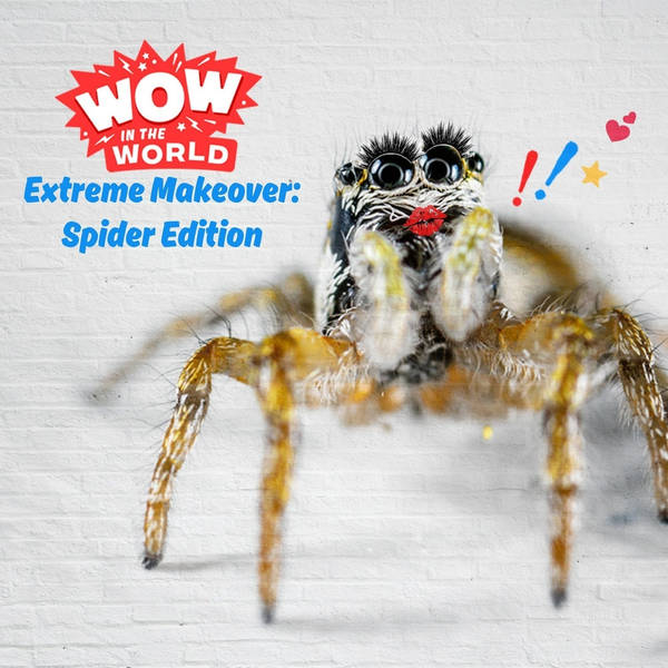 Extreme Makeover: Spider Edition
