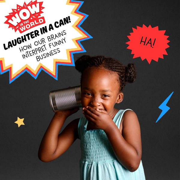 Laughter In A Can: How Our Brains Interpret Funny Business (encore)
