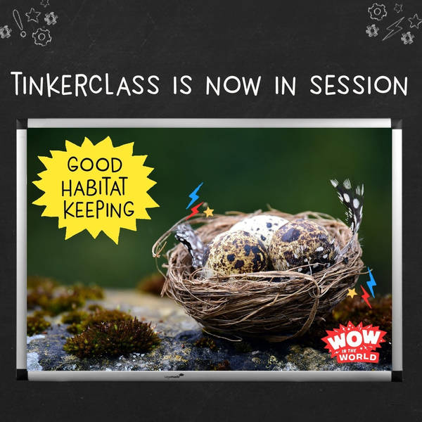 Tinkerclass (Week 3 Day 3): Create & Test